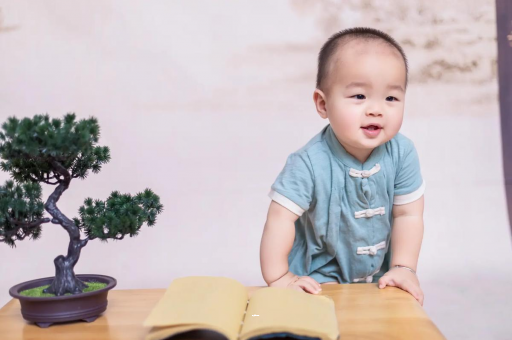 衡水可爱的企鹅宝宝